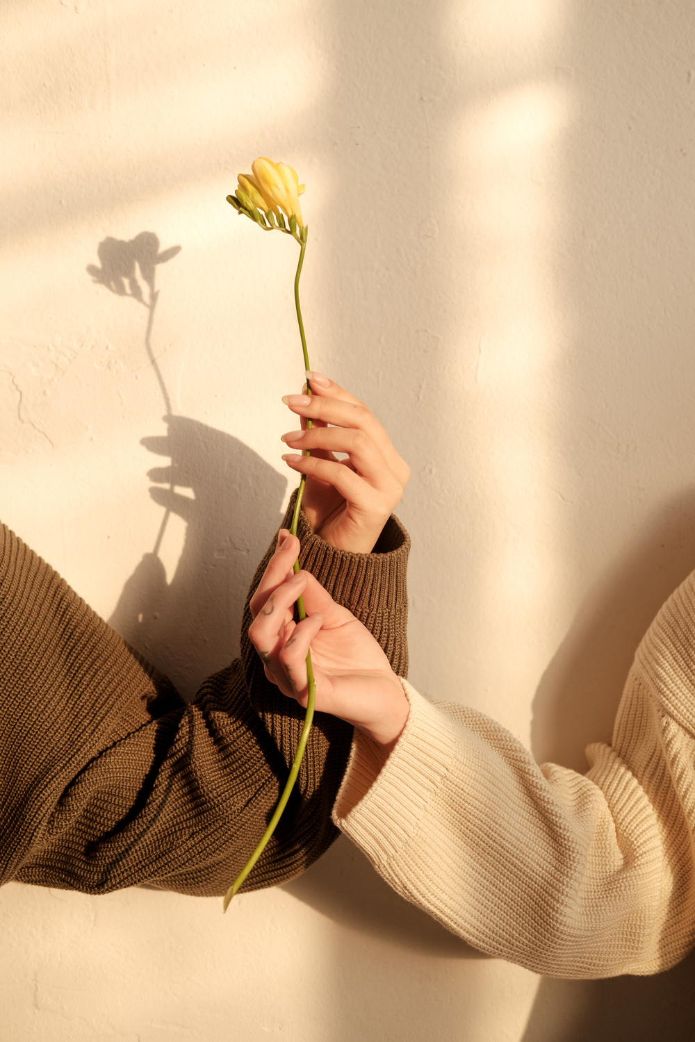 Friends Holding a Flower